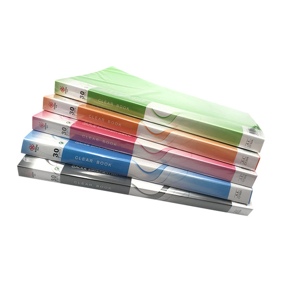 A4 Clear Pocket Holder (30 Pockets)